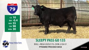 Lot #79 - SLEEPY PASS GO 135