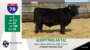 Lot #78 - SLEEPY PASS GO 132