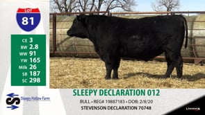Lot #81 - SLEEPY DECLARATION 012