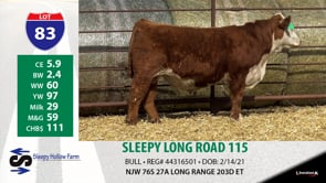 Lot #83 - SLEEPY LONG ROAD 115