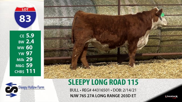 Lot #83 - SLEEPY LONG ROAD 115