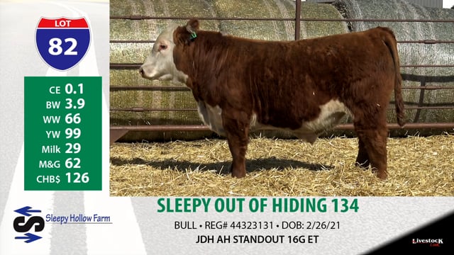 Lot #82 - SLEEPY OUT OF HIDING 134