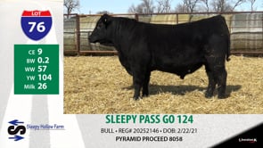 Lot #76 - SLEEPY PASS GO 124