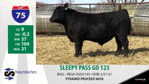 Lot #75 - SLEEPY PASS GO 123