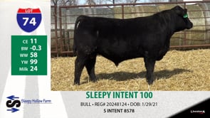 Lot #74 - SLEEPY INTENT 100