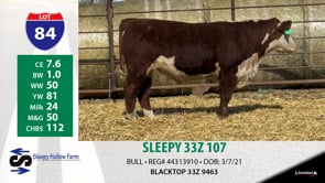 Lot #84 - SLEEPY 33Z 107