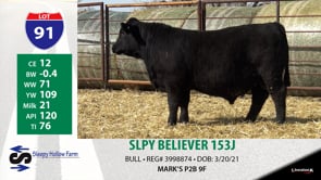 Lot #91 - SLPY BELIEVER 153J