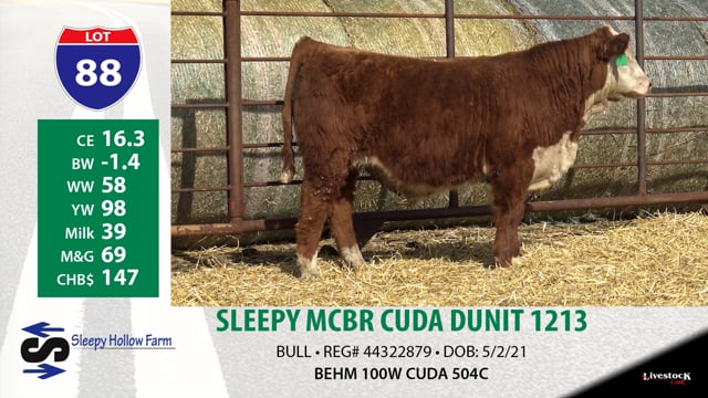 Lot #88 - SLEEPY MCBR CUDA DUNIT 1213