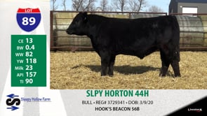Lot #89 - SLPY HORTON 44H