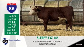 Lot #86 - SLEEPY 33Z 145