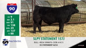 Lot #90 - SLPY STATEMENT 157J