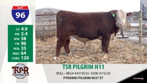 Lot #96 - TSR PILGRIM H11