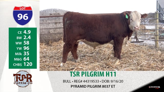 Lot #96 - TSR PILGRIM H11