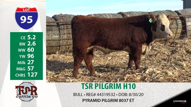 Lot #95 - TSR PILGRIM H10