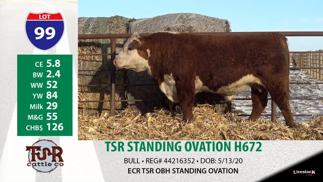 Lot #99 - TSR STANDING OVATION H672