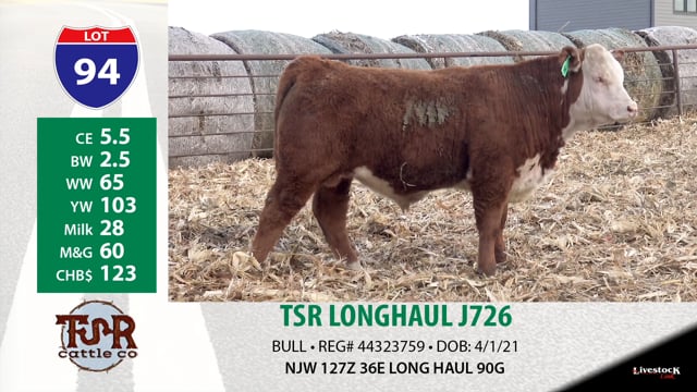 Lot #94 - TSR LONGHAUL J726