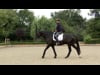 The Position in the Saddle