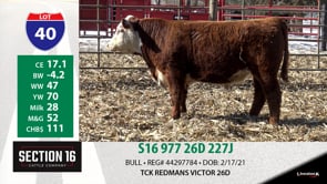 Lot #40 - S16 977 26D 227J