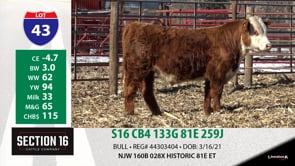 Lot #43 - S16 CB4 133G 81E 259J