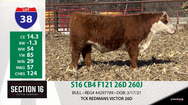 Lot #38 - S16 CB4 F121 26D 260J