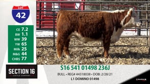 Lot #42 - S16 541 01498 236J