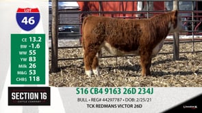 Lot #46 - S16 CB4 9163 26D 234J