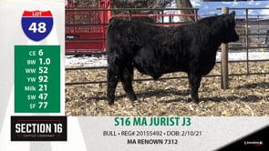 Lot #48 - S16 MA JURIST J3