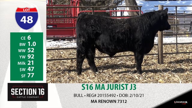 Lot #48 - S16 MA JURIST J3