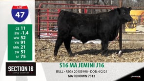 Lot #47 - S16 MA JEMINI J16