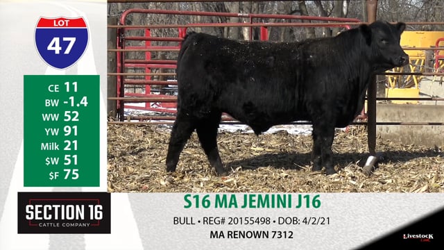 Lot #47 - S16 MA JEMINI J16