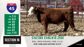 Lot #45 - S16 CB4 154G 81E 250J