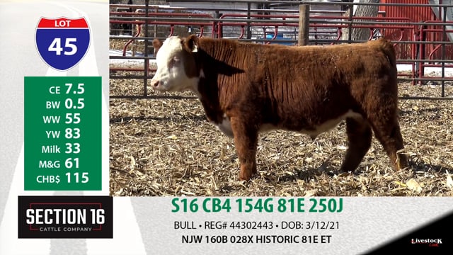 Lot #45 - S16 CB4 154G 81E 250J
