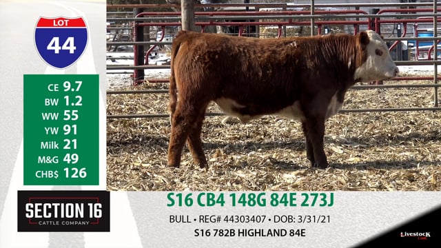 Lot #44 - S16 CB4 148G 84E 273J