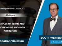 Examples Of Terms And Conditions Of Michigan Probation | Scott Weinberg - Probation Violation