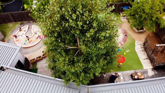 Nino Early Learning Adventures Blackburn North video thumbnail 17