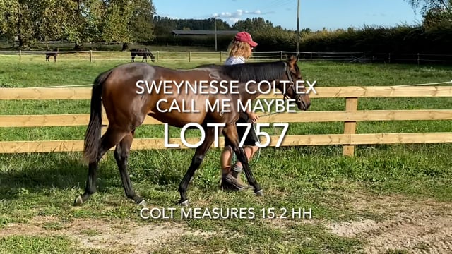 Lot 757