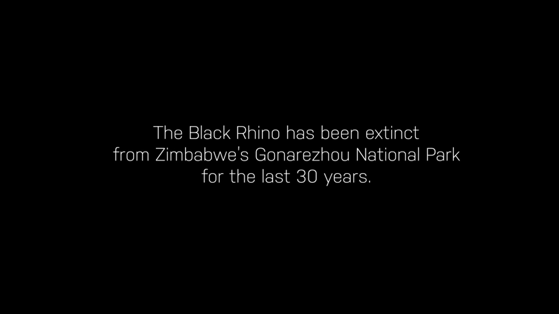 Return of the Rhino | editor