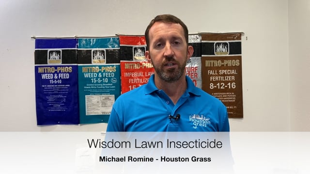 Wisdom Is Our Recommended Granular Lawn Insecticide