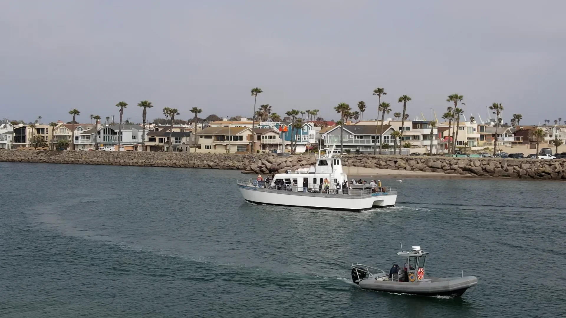 Speed Twin Sportfishing – Channel Islands Sportfishing