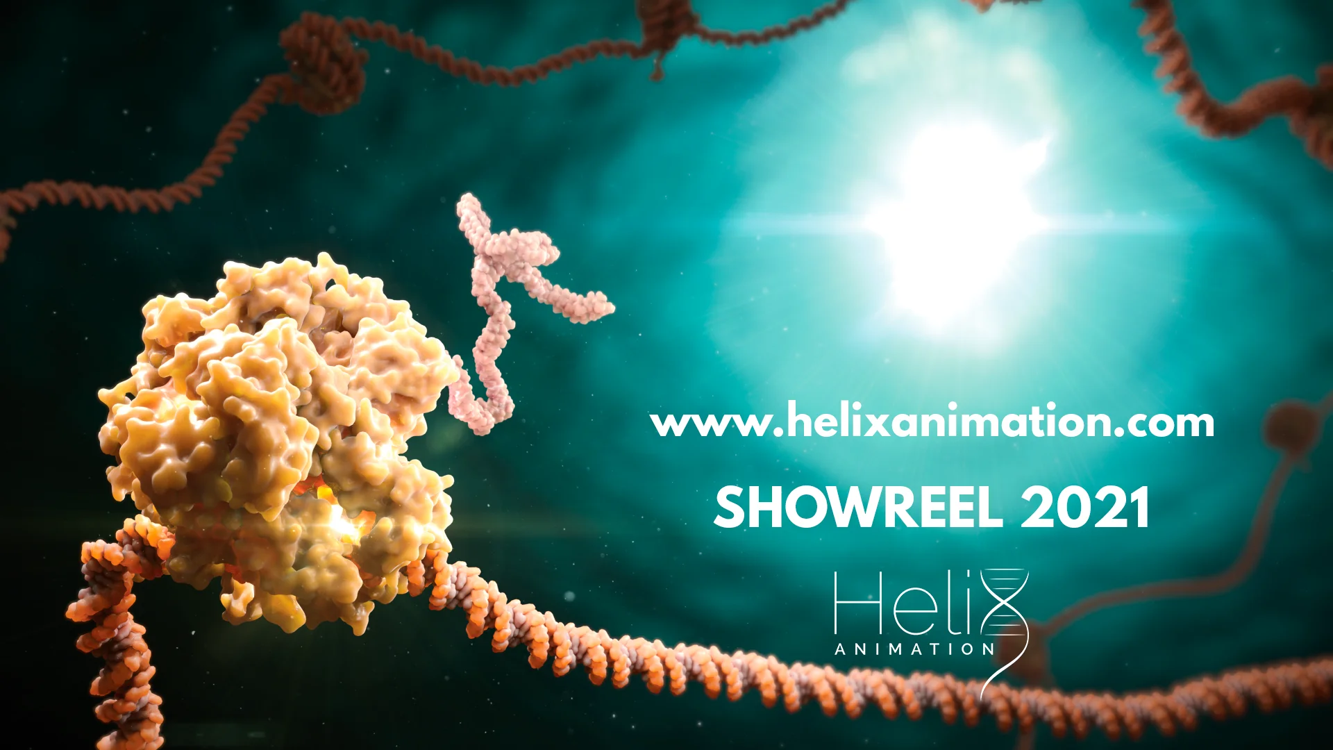 Helix Animation Showreel 2021 on Vimeo