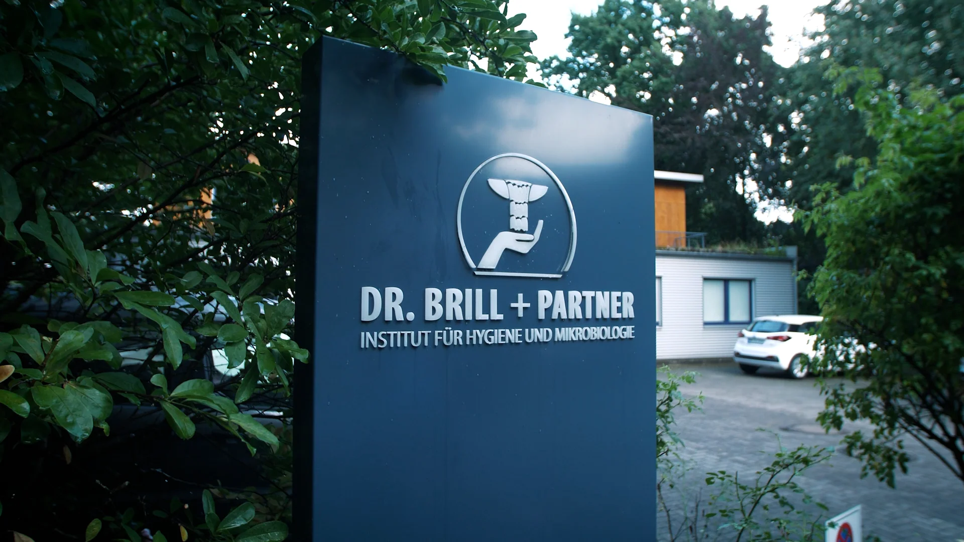 DR. BRILL + Dr. Steinmann - Disinfectants