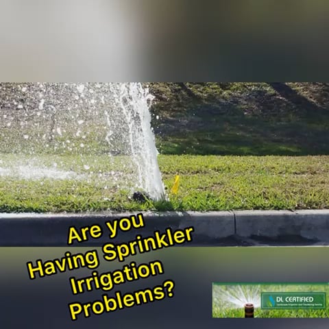 https://i.vimeocdn.com/video/1387830690-e9a3c7b8d3f1c3fedec34d7b6c17bb5466472cba6b2e4030aa8e9ff3be9282f1-d