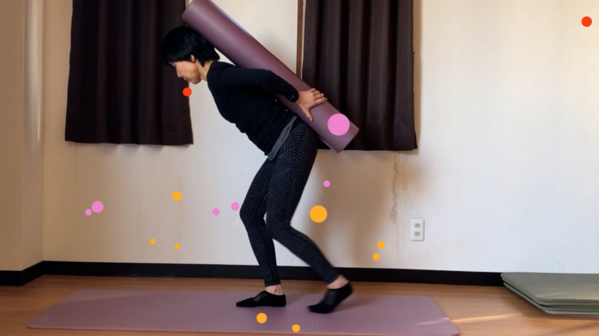 すべての動画
