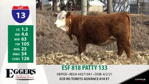 Lot #13 - ESF 818 PATTY 133