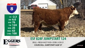 Lot #8 - ESF 828F JUMPSTART 124