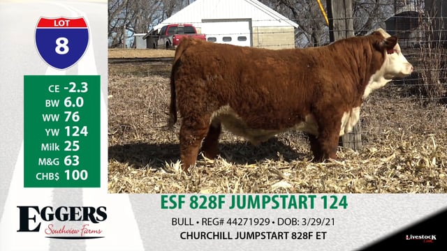 Lot #8 - ESF 828F JUMPSTART 124
