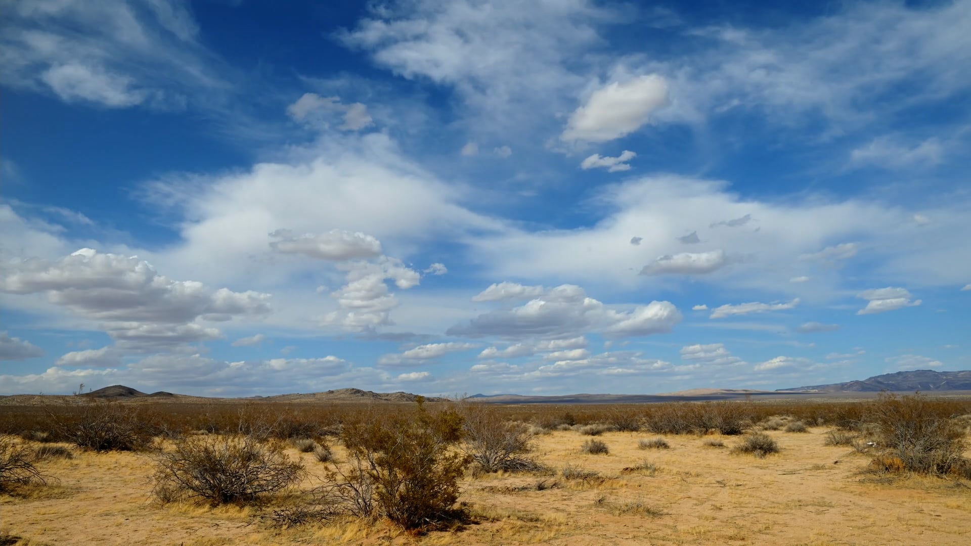 Vast Festival, Mojave Desert - 2021 Recap