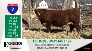 Lot #7 - ESF 828F JUMPSTART 122