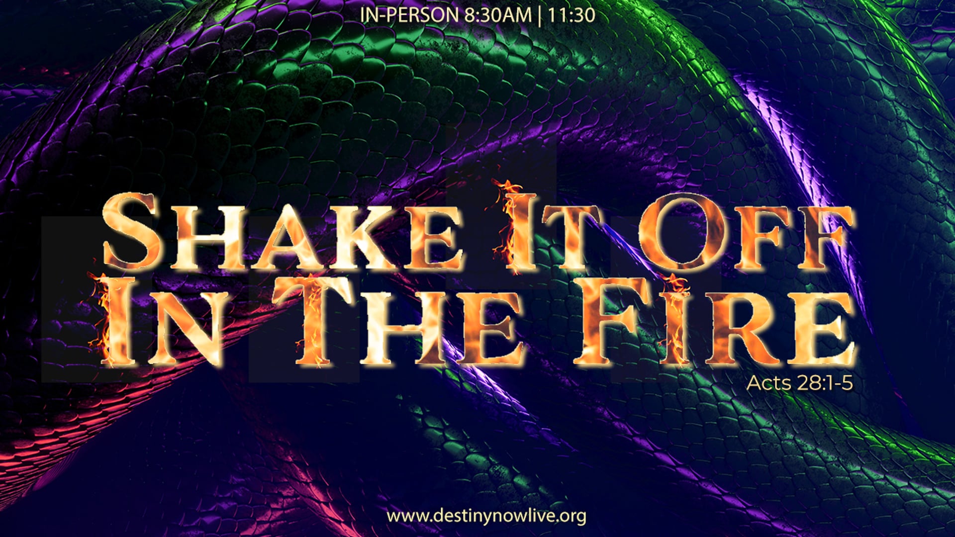 "Shake It Off In The Fire" - Online Giving: Text to Give - 910-460-3377 - Give Online @ www.destinynow.org