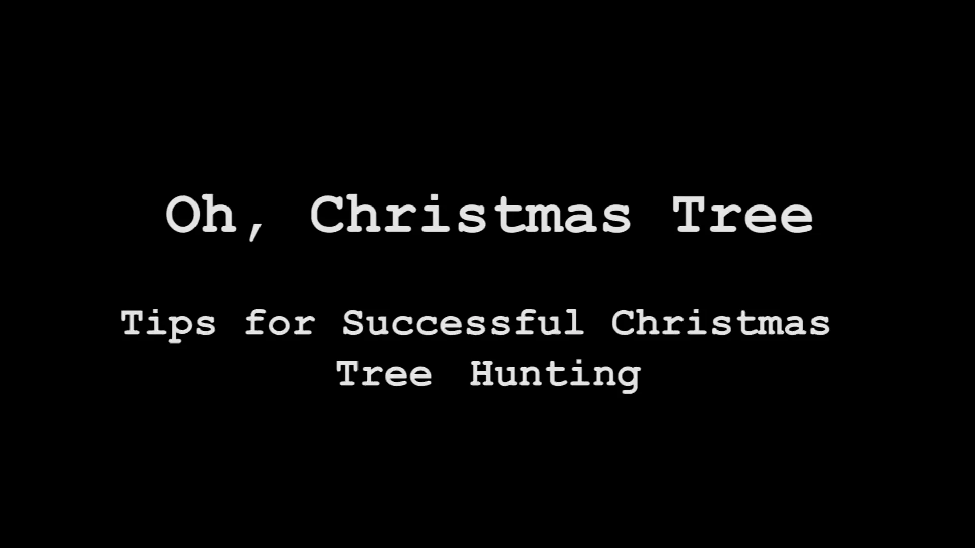 O Christmas Tree Tips for Successful Christmas Tree Hunting
